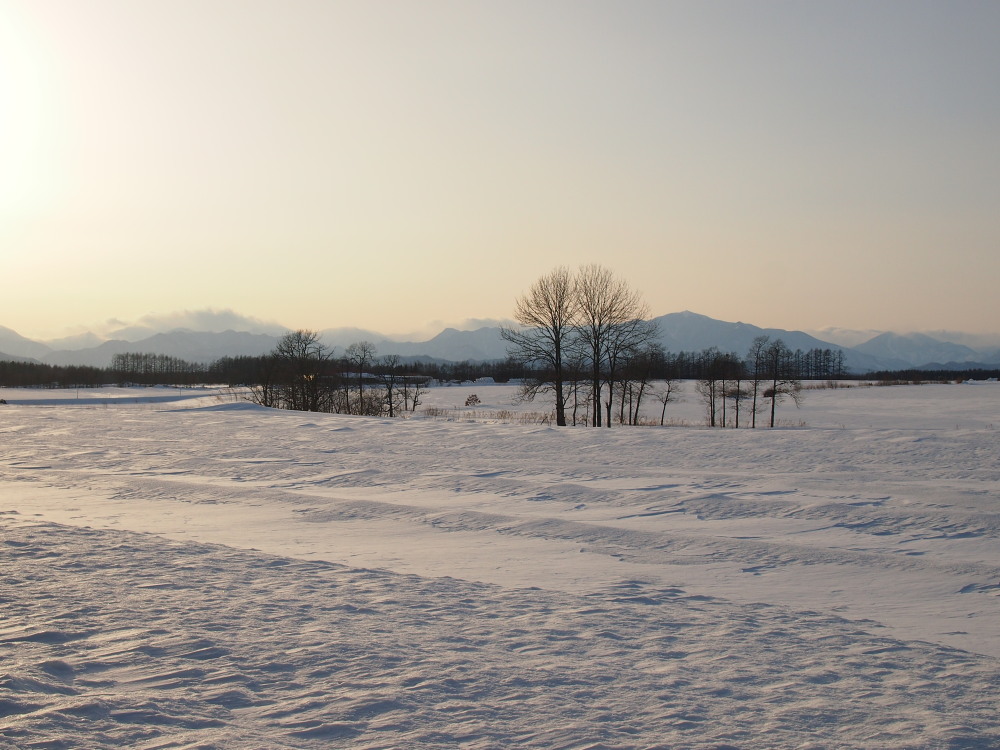 春を待つ”更別村の農村風景”を散策しています。~その2~_f0276498_23533973.jpg