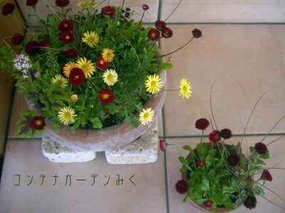 f0217905_23183712.jpg