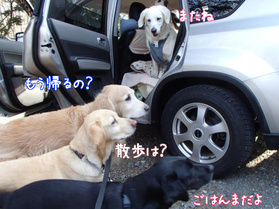 犬ころの滝_f0064906_182452100.jpg