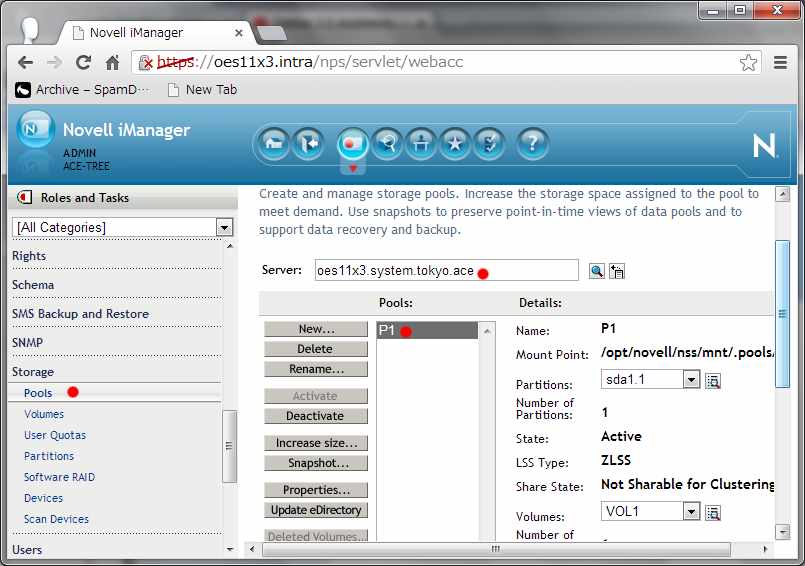 iSCSI 上の Novell OES NSS Volume の切り替え_a0056607_1752154.jpg