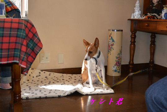 c0097309_8135049.jpg