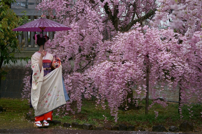 上品蓮台寺_e0177413_614267.jpg