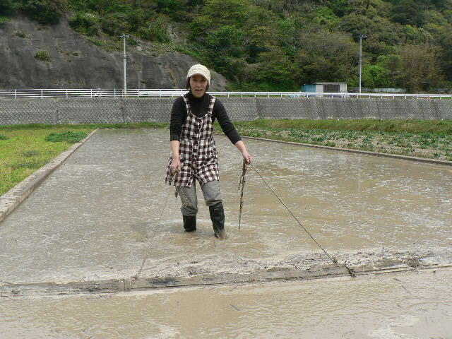 田植えの準備_c0228615_2258920.jpg