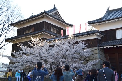 上田城千本桜まつり2013_d0264817_19524355.jpg