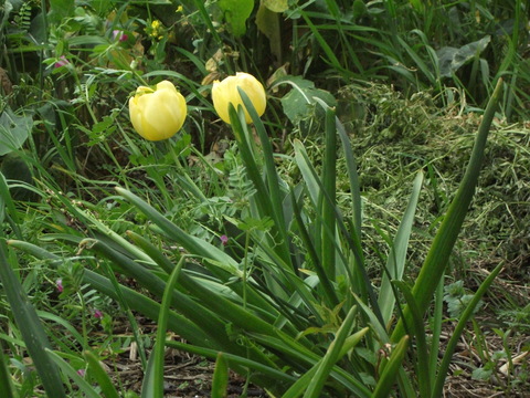 a0279321_13182739.jpg