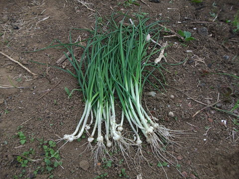 a0279321_13271466.jpg