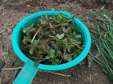 a0279321_14222751.jpg