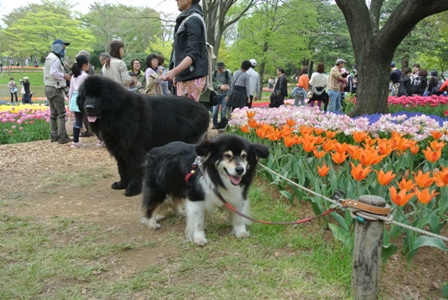 f0077931_1014598.jpg