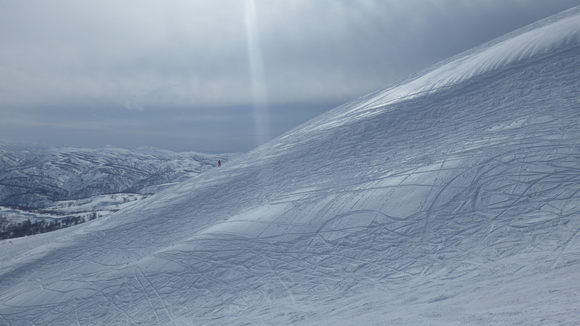 f0118332_00995.jpg