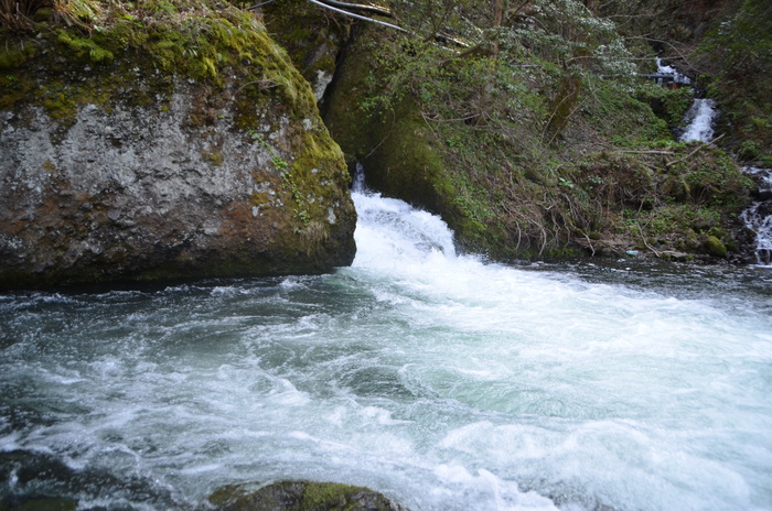 c0202242_15294037.jpg