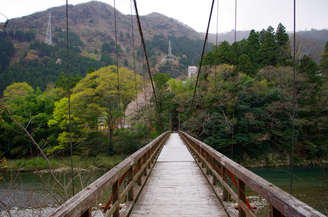 d0186245_1519753.jpg