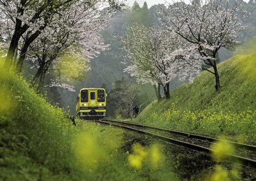 いすみ鉄道_c0153446_1210289.jpg