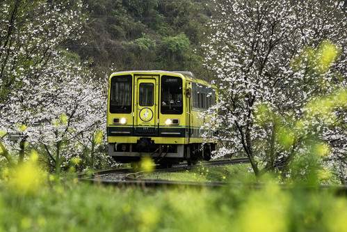 いすみ鉄道_c0153446_1285974.jpg