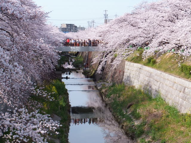 d0285546_14341338.jpg