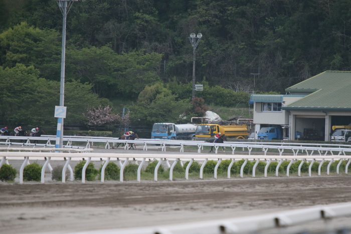 2013年4月14日（日） 高知競馬 6R 第29回 二十四万石賞 4歳以上 その1_a0077663_14261197.jpg