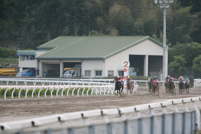 2013年4月14日（日） 高知競馬 6R 第29回 二十四万石賞 4歳以上 その1_a0077663_14261351.jpg