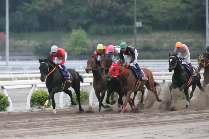 2013年4月14日（日） 高知競馬 6R 第29回 二十四万石賞 4歳以上 その1_a0077663_1426752.jpg