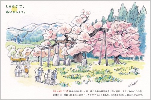 「しらたかで、あいましょう。」のタイトルで村岡 仁・画 白鷹町のポストカードが完成。_a0086270_2022547.jpg