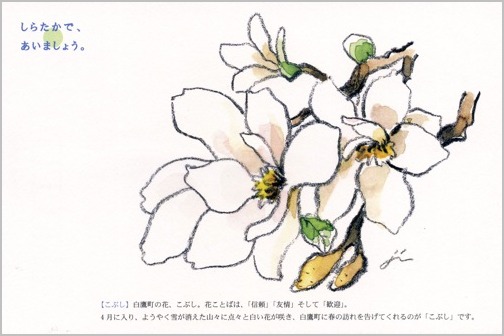 「しらたかで、あいましょう。」のタイトルで村岡 仁・画 白鷹町のポストカードが完成。_a0086270_20255056.jpg