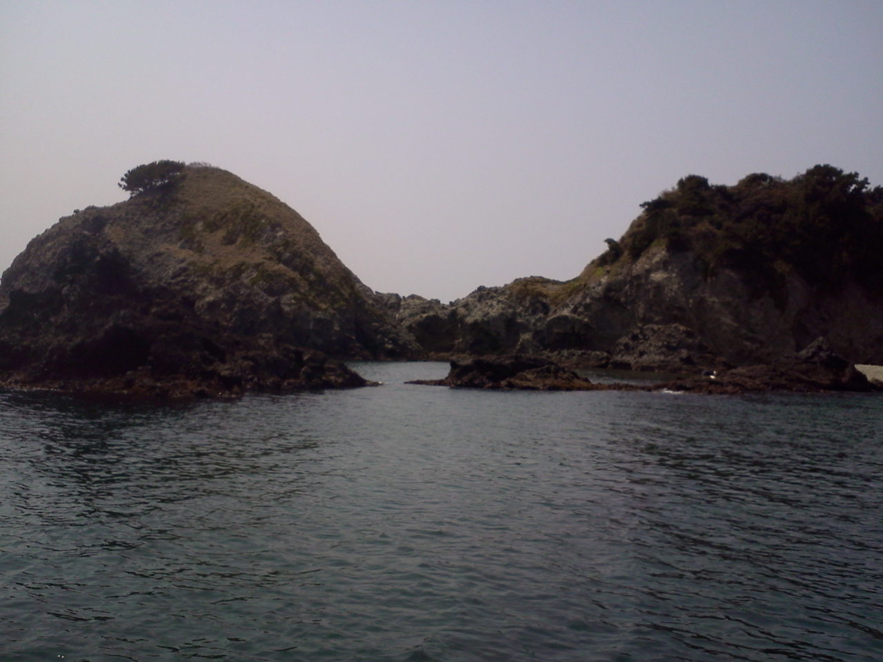 e0204372_20364717.jpg