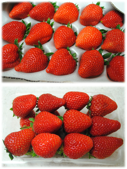 b0242873_0391359.png