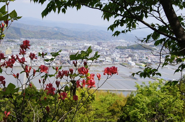 ４月の牧野植物園とモネの庭_e0181373_21104359.jpg