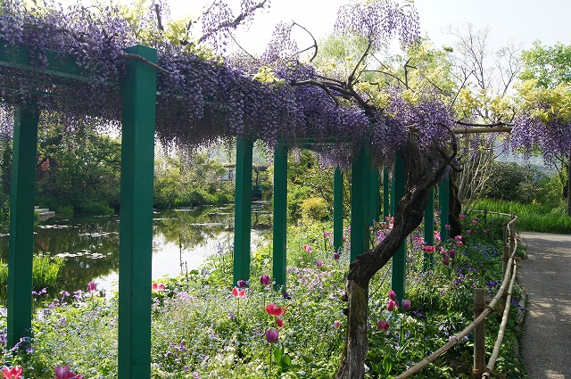 ４月の牧野植物園とモネの庭_e0181373_2114343.jpg