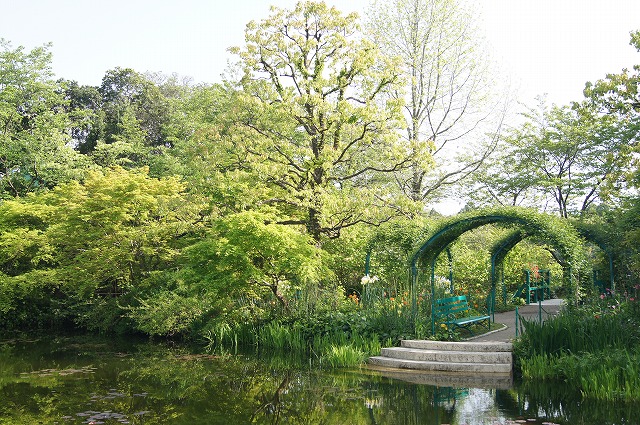 ４月の牧野植物園とモネの庭_e0181373_21143919.jpg