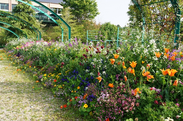 ４月の牧野植物園とモネの庭_e0181373_21151282.jpg