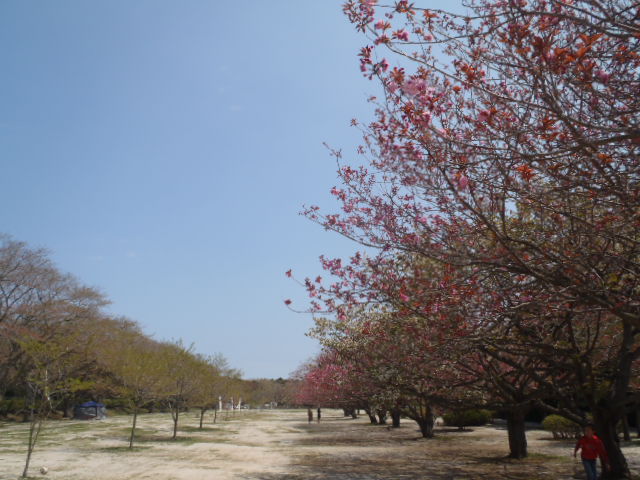 b0197678_132689.jpg