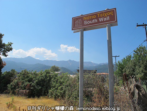 c0010496_6501147.jpg