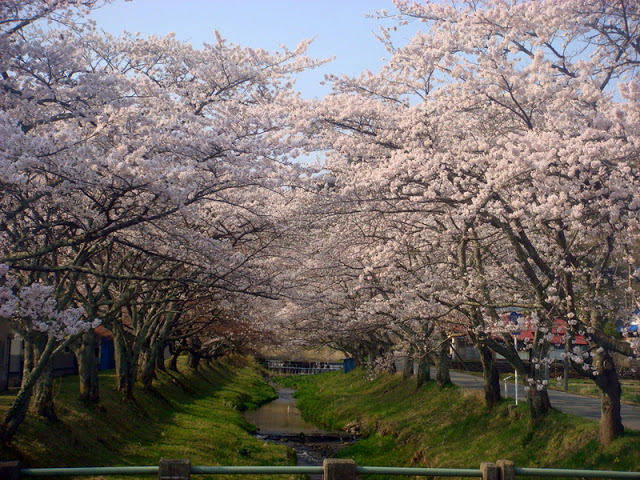 a0138198_10973.jpg