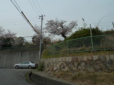 b0051598_232420100.jpg