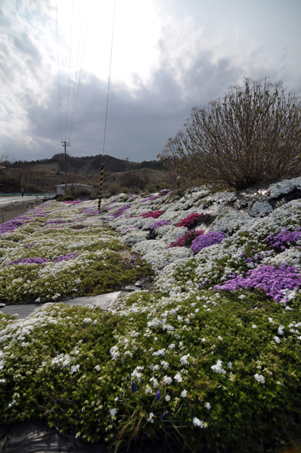 太陽の村　柴田町_b0197098_20523353.jpg