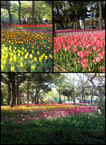 d0077699_1544189.png