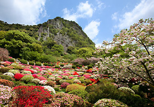 御船山楽園が見ごろを迎えています！_f0040201_22452624.jpg