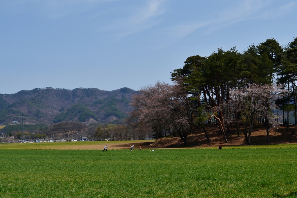 長野牧場～雪窓公園～桜　2013.4.14_b0228502_1143641.jpg