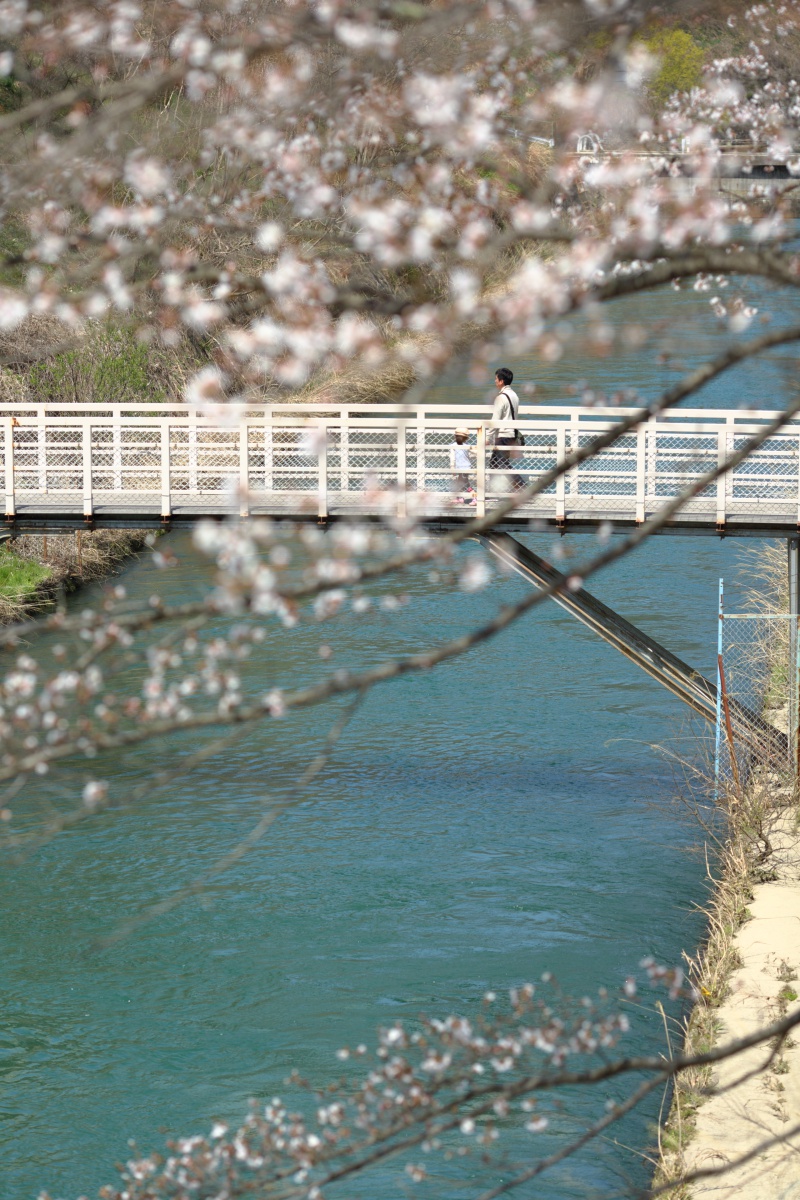 a0155104_21164769.jpg