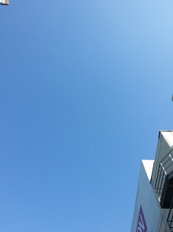 f0225108_10322672.jpg
