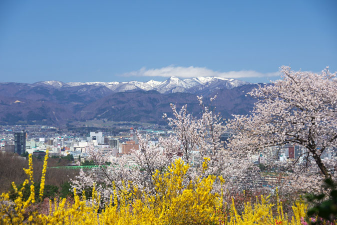 福島市 花見山2_a0263109_78401.jpg