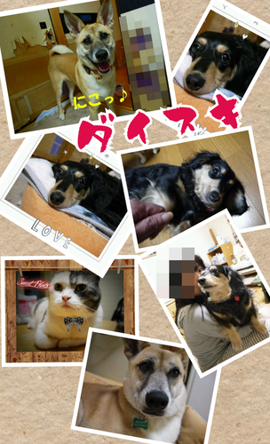 f0218911_13295362.png