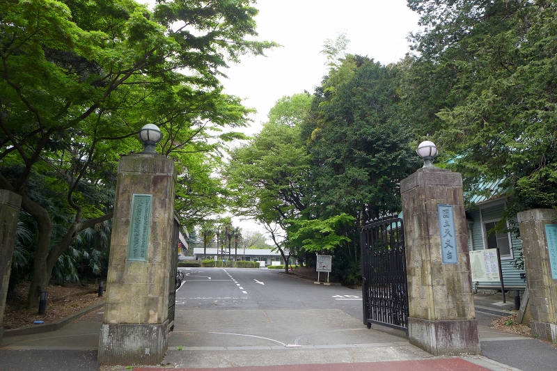 a0159414_1336791.jpg