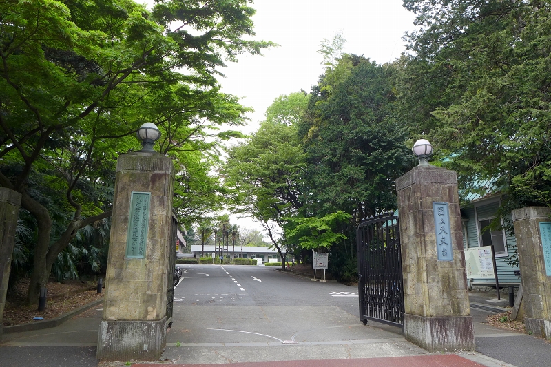 　　　　　　国立天文台から深大寺_a0159414_1336791.jpg