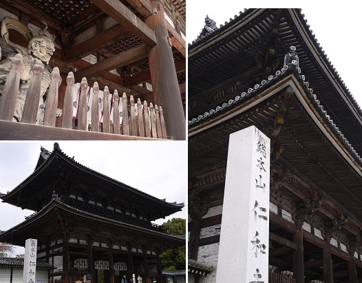御室桜 ~仁和寺 (京都)~_c0235725_11451916.jpg