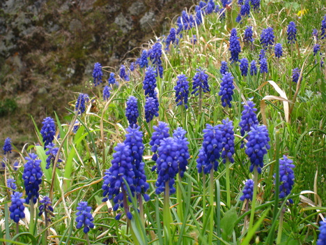 a0233432_2122553.jpg