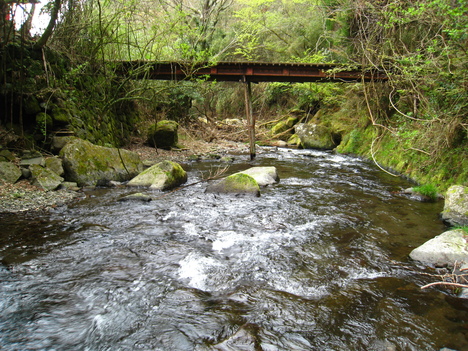 a0233432_2222697.jpg