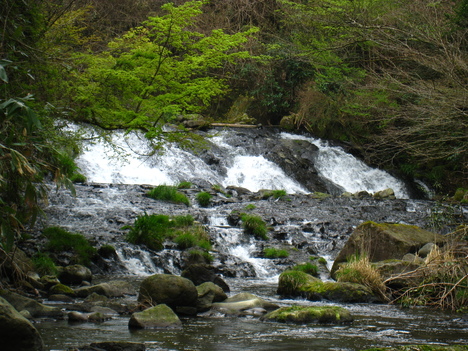 a0233432_2232689.jpg