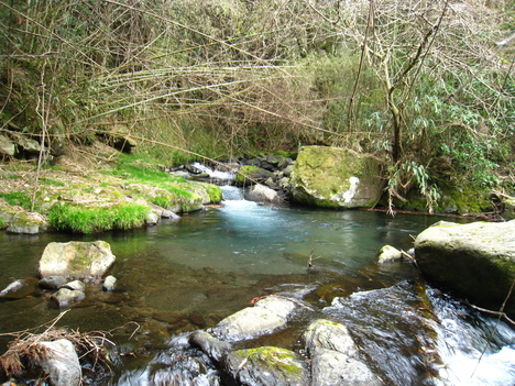 a0233432_224411.jpg