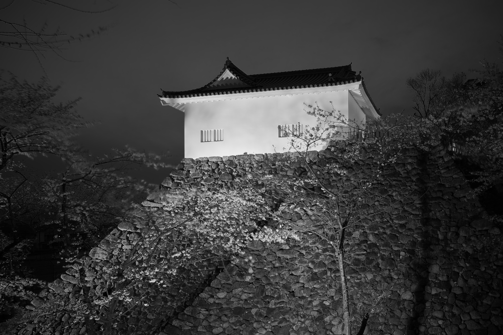 f0178635_12455151.jpg