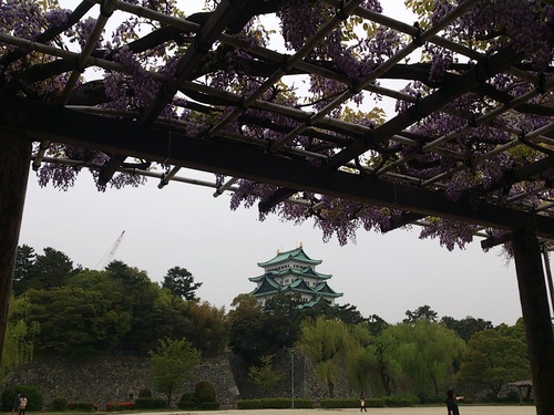 自宅～名古屋城・サイクリング_b0076739_18462378.jpg